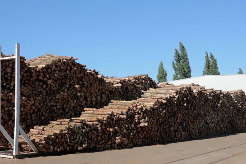 Holzstapel